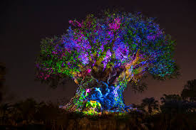 Tree of Life - Animal Kingdom