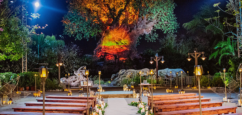 Location per matrimonio Disney